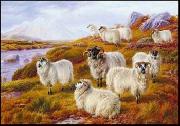 unknow artist Sheep 063 France oil painting artist